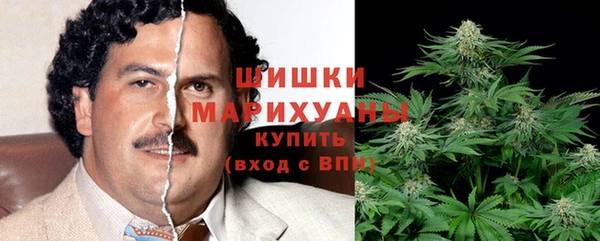 индика Наволоки