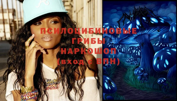 индика Наволоки